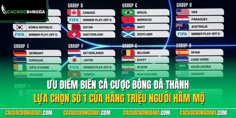 Ưu điểm biến Cá cược bóng đá thành lựa chọn số 1 của hàng triệu người hâm mộ