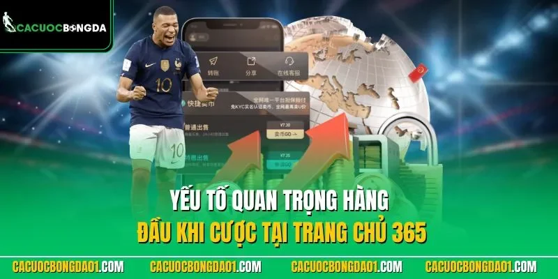 Yếu tố quan trọng hàng đầu khi cược tại trang chủ 365